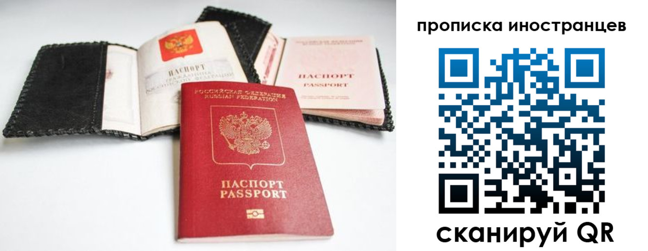 прописка паспорт в Новосибирской области